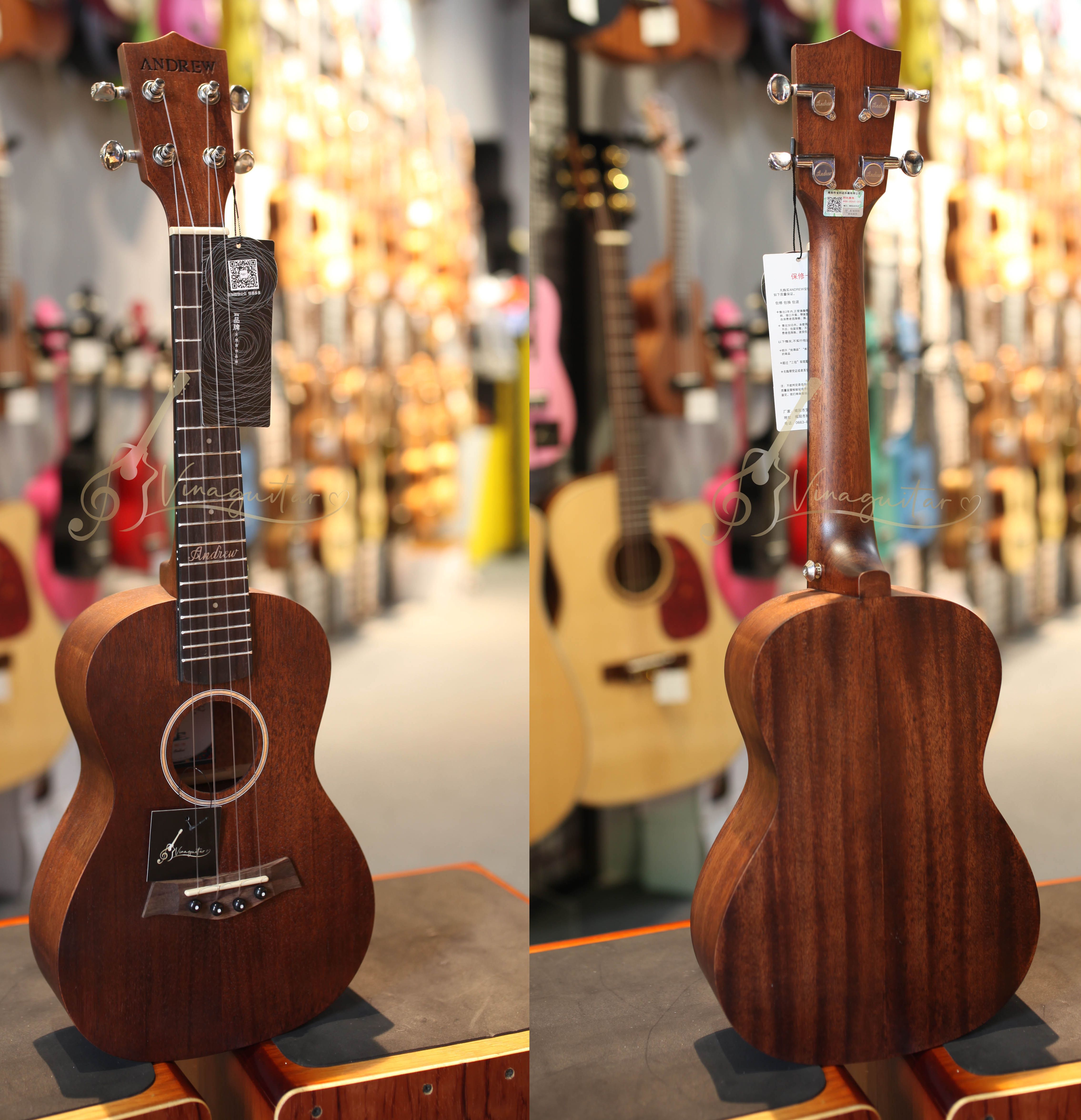 Đàn Ukulele Andrew Y8 - Vinaguitar Phân Phối Chính Hãng