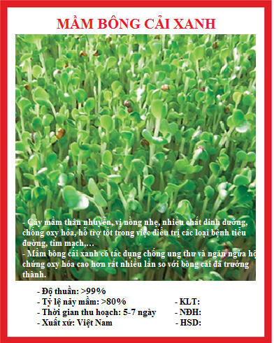 Hạt giống rau mầm bông cải xanh - Gói 20gram