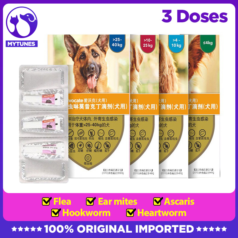 Bayer advocate spot-on solution cho chó tất cả các giống 3 ống