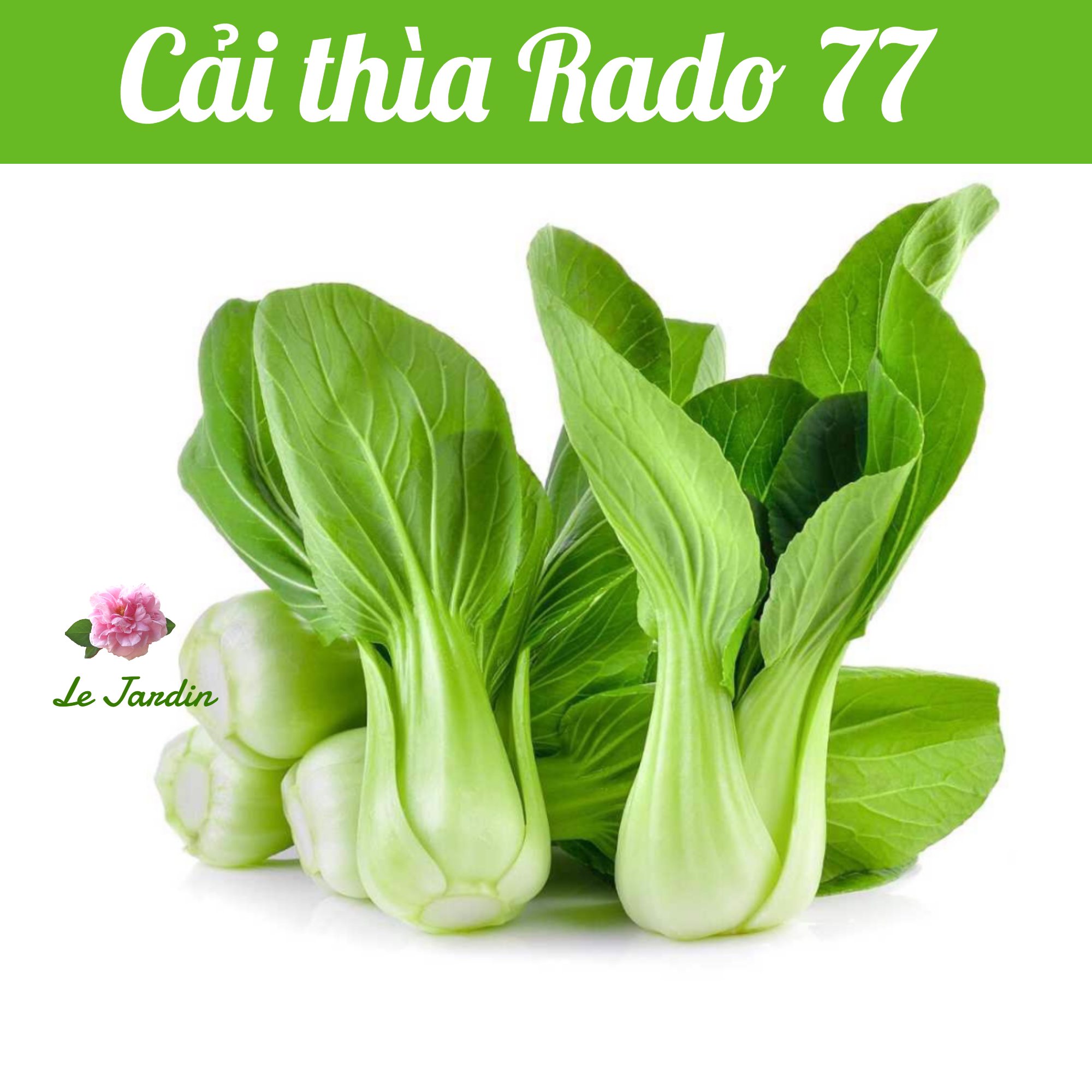 Hạt giống cải thìa rado 77 gói 20gr - dễ trồng