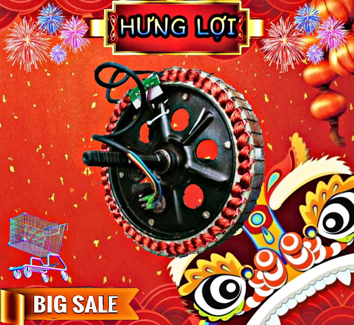 [HCM]Lõi động cơ 350w xe đạp điện