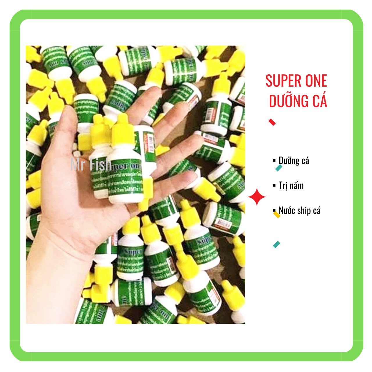 Dung dịch Super one Thái lan dưỡng cá - ship cá - tr.ị nấm_ ph.òng bệ.nh_x.ử lý trùn_Mr_Fish