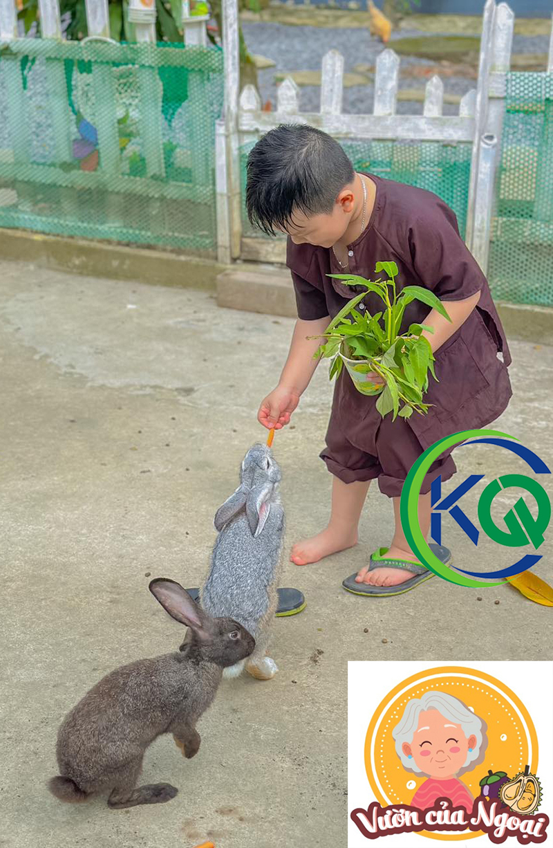 Bộ đồ bà ba nông dân cho bé từ 7 đến 30kg - quần áo vải kate mềm mịn - màu nâu
