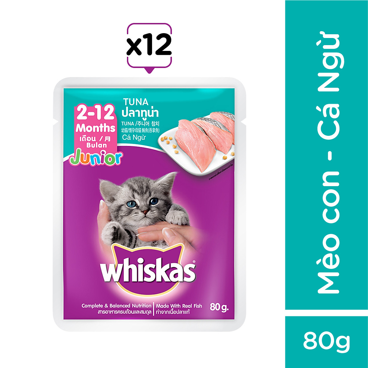 WHISKAS - Mèo nhỏ & Mèo lớn - SỐT các vị