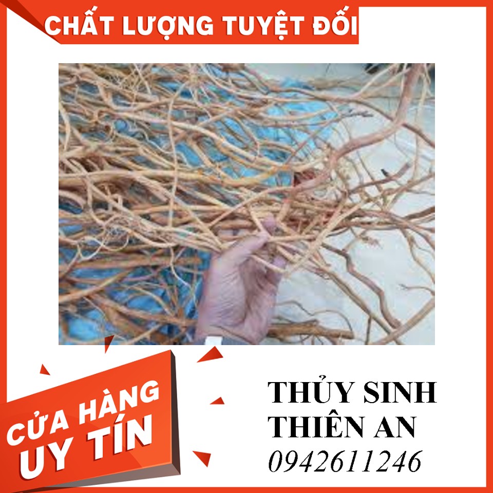 Rễ rừng tạo cảnh thủy sinh (100gr)