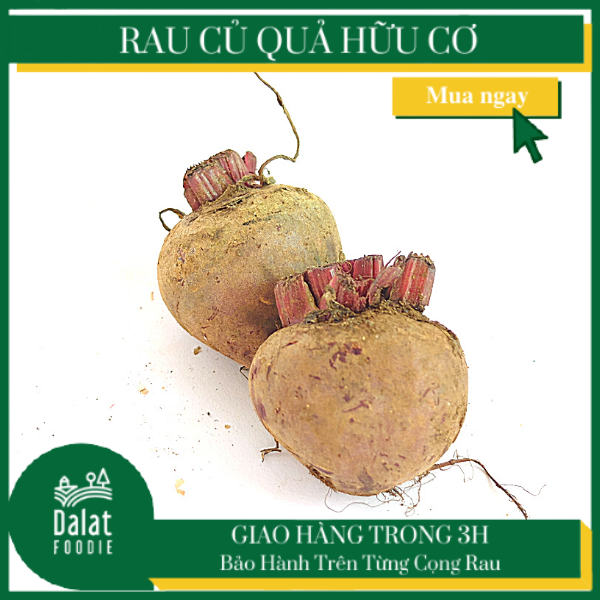 Củ Dền 300G - [Giao ngay tại TPHCM]