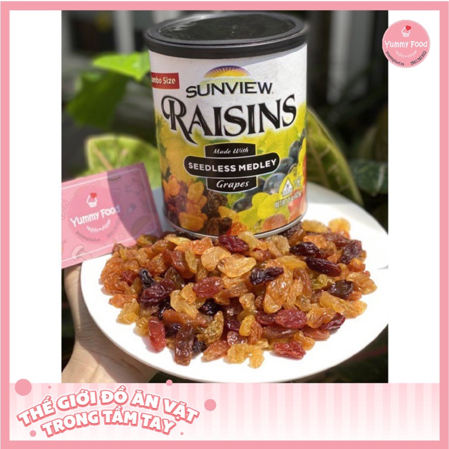 Nho Khô Raisins Sunview Lon 425gram