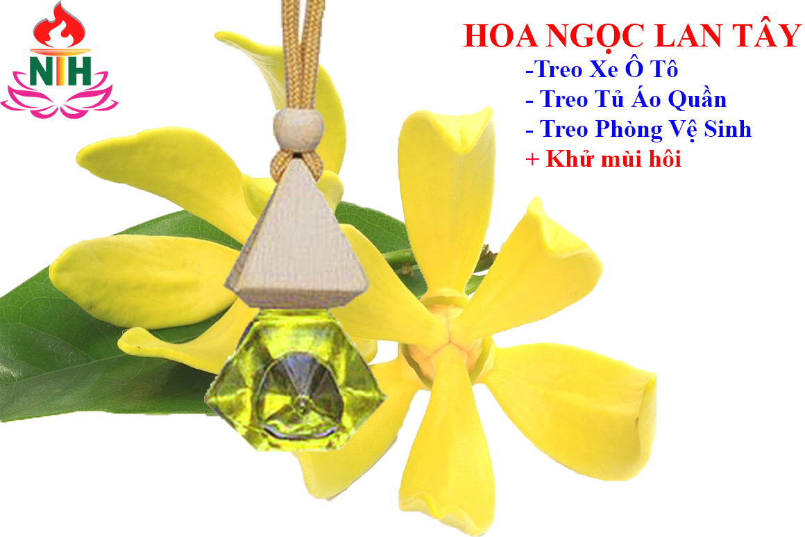 TINH DẦU NGỌC LAN TÂY TREO XE TỦ QUẦN ÁO PHÒNG VỆ SINH KHỬ MÙI HÔI THƠM NGÁT CHỐNG SAY XE HIÊU QUẢ.