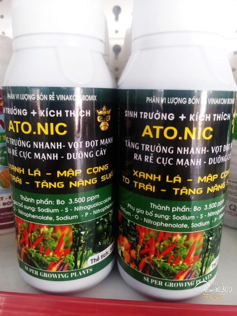 Atonic - đâm chồi - đâm tược - phát triển thân cành lá