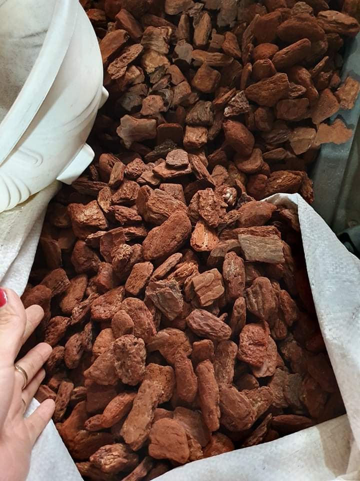 1kg vỏ thông xay 3-4 cm trồng lan, giá thể trồng phong lan, vỏ thông xay quảng bình