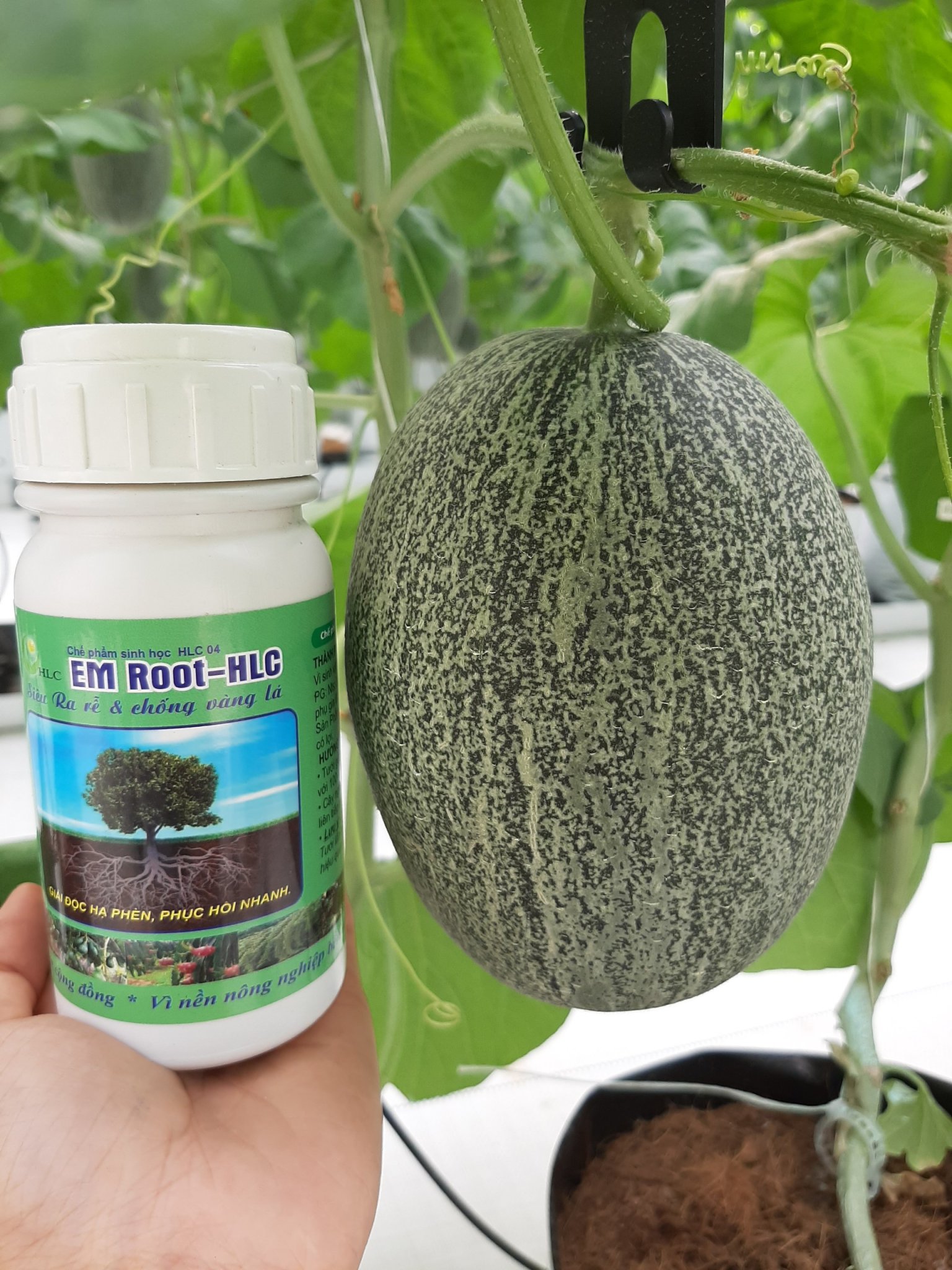 Siêu ra rễ sinh học EM ROOT HLC 250ml. hàng công ty chính hãng