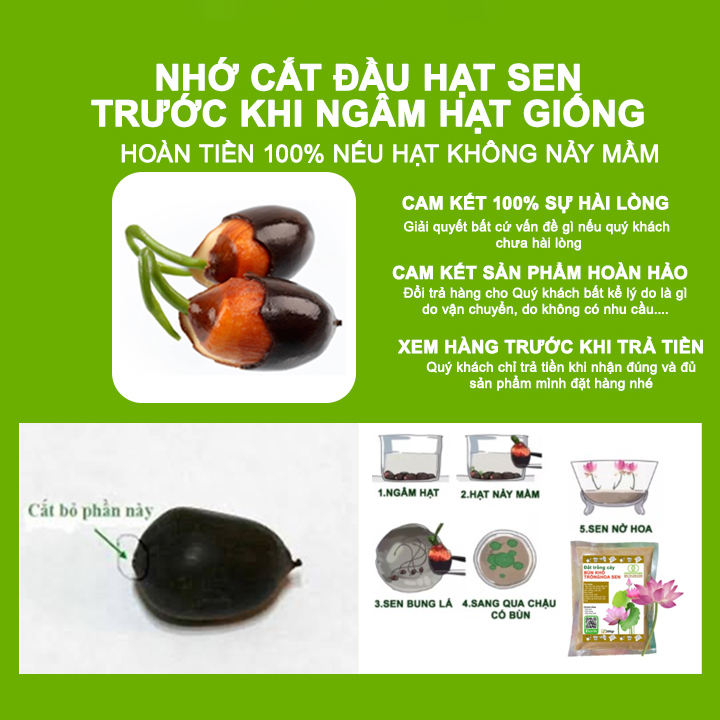 fe744092e54cb04bfbdd5853f89a39ea.jpg