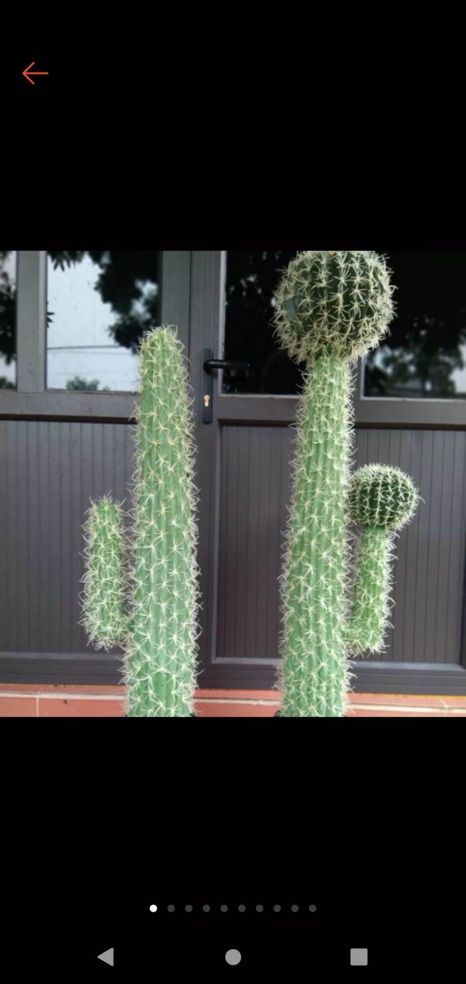 cây xương rồng giả cao 1,1- 1,3 met trang trí nhà cửa siêu đẹp