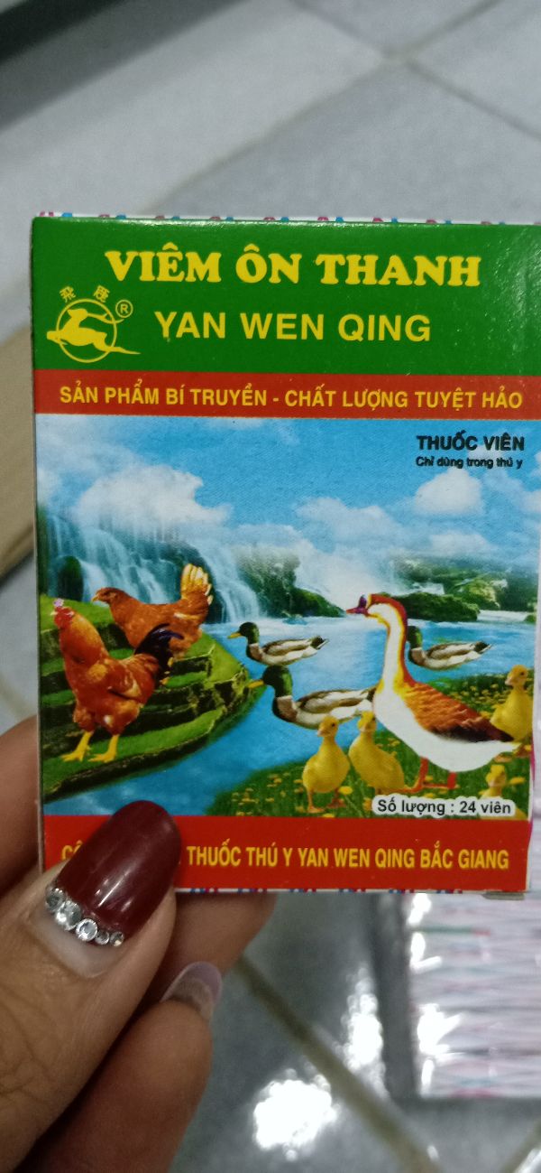 5 Vỉ Viên Ổn Thanh - 127