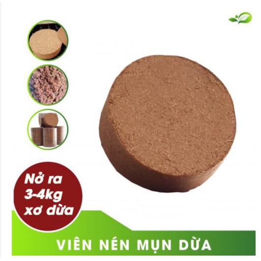 Đất Nén Xơ Dừa, đất nén hữu cơ (Đã Qua Xử Lý) - Giá Thể trồng lan, trồng cây, trồng Rau mầm