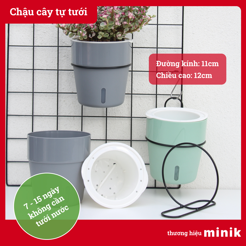 Chậu trồng cây treo tường tự dưỡng MINIK, với đế sắt treo tường độc đáo, chậu cây thông minh tự tưới, 7-14 ngày không cần tưới nước, size 11cm x 12 cm