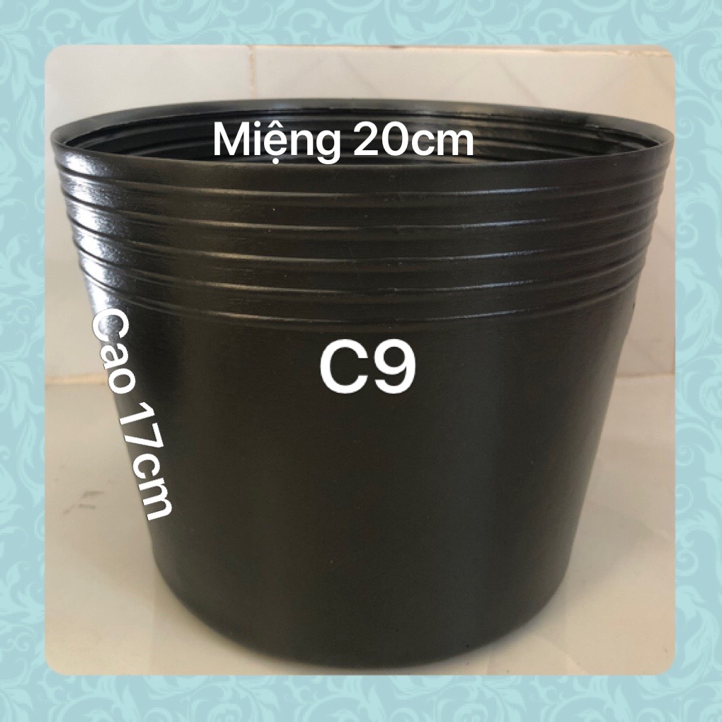 Chậu nhựa trồng cây 50 cái C9 đen