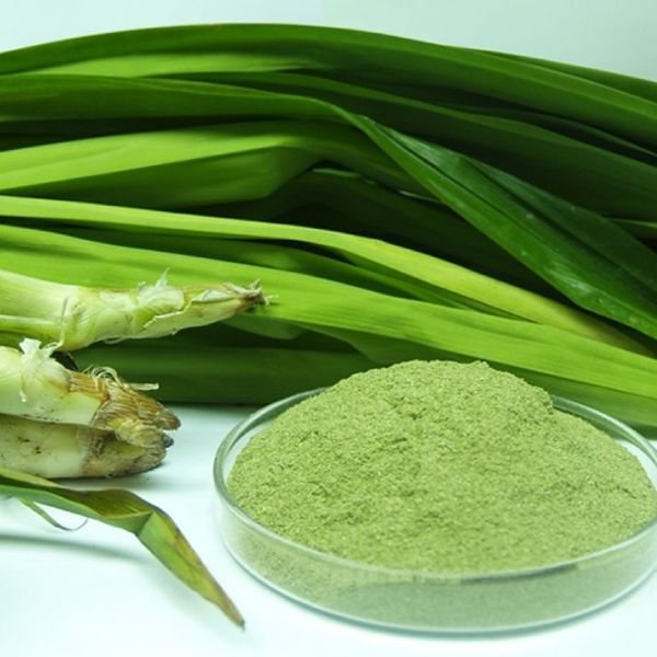 Freeship túi 1kg lá dứa, lá nếp sấy lạnh thơm ngon, pha trà, nấu xôi,chế biến