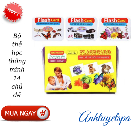 Bộ thẻ học thông minh song ngữ Anh - Việt Flash Card cỡ lớn 14 chủ đề (280 thẻ)