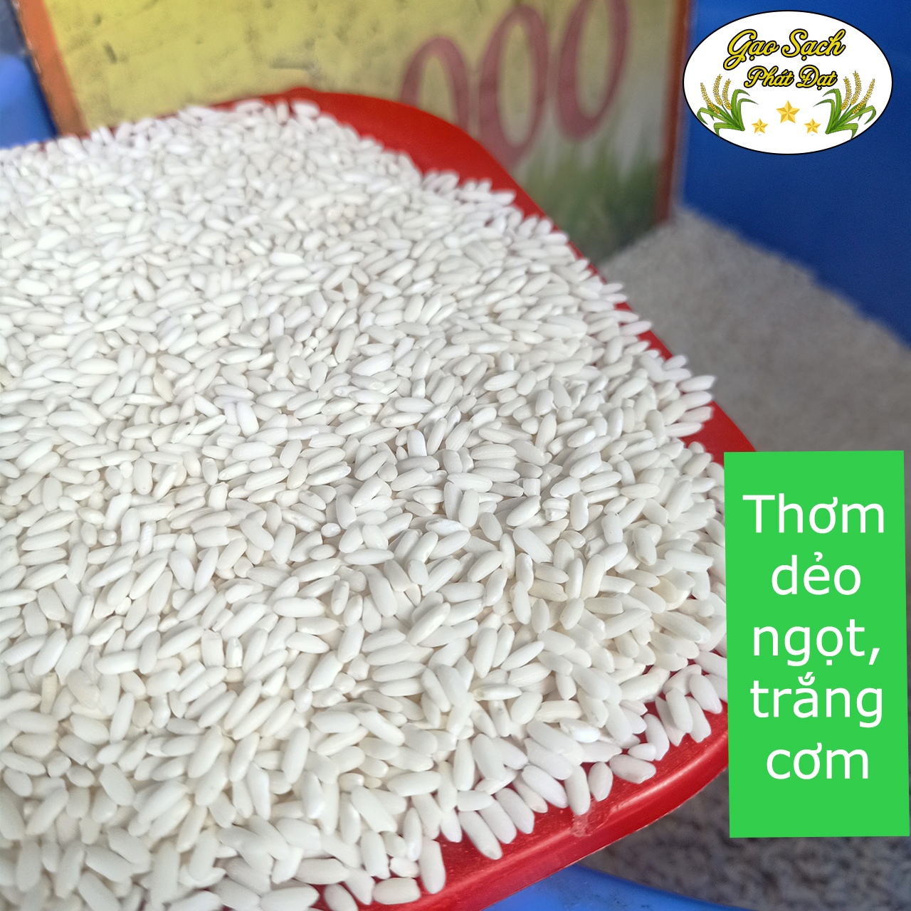 Gạo Nếp Sáp Ngỗng ( túi 5kg - 10kg ) - Thơm dẻo ngọt trắng cơm, dễ nấu