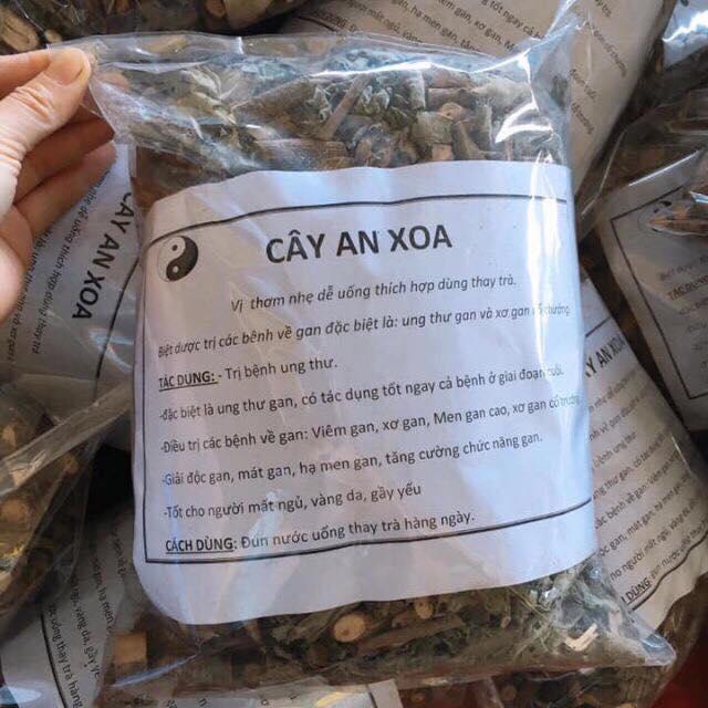 Cây an xoa - HOA MÀU TÍM 1kg