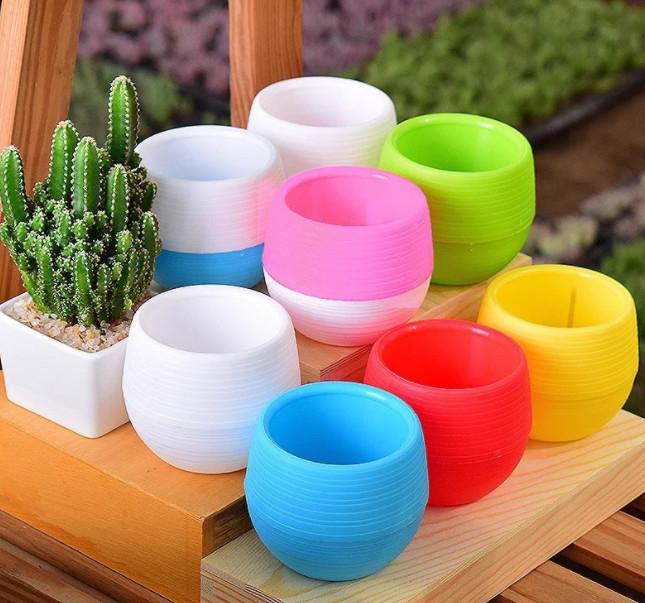 Chậu Nhựa Trồng Sen Đá, Xương Rồng, Cây Mini Để Bàn - Hình tròn