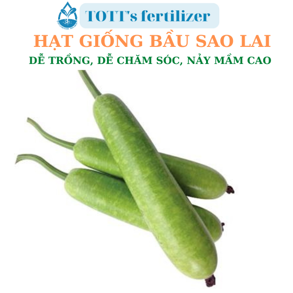 Hạt giống Bầu sao lai dễ nảy mầm dễ trồng TOTT's fertilizer