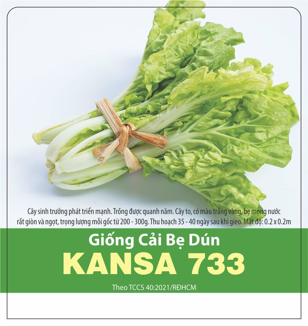 Hạt giống cải bẹ dún Kansa, đóng gói 10gr
