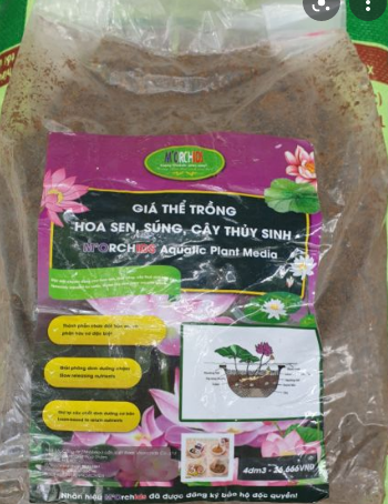 Giá thể trồng hoa sen, hoa súng, cây thuỷ sinh