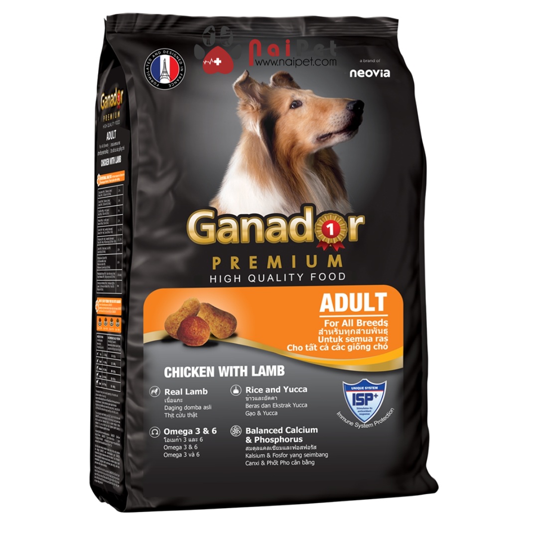 Thức Ăn Hạt Khô Cho Tất Cả Các Giống Chó Lớn  Vị Cừu Ganador