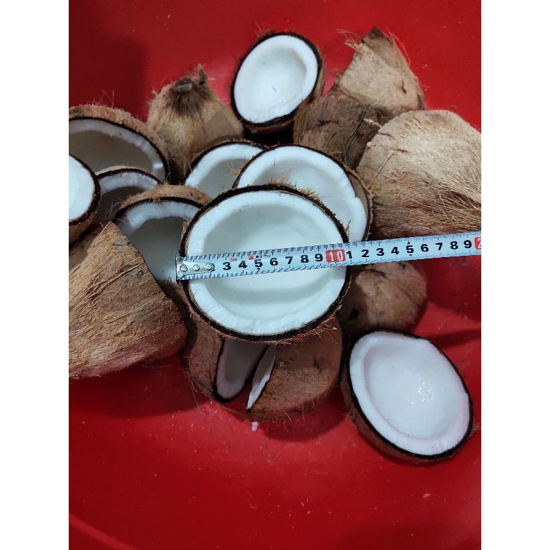 Dừa Khô Bến Tre - 850g - 1kg/trái