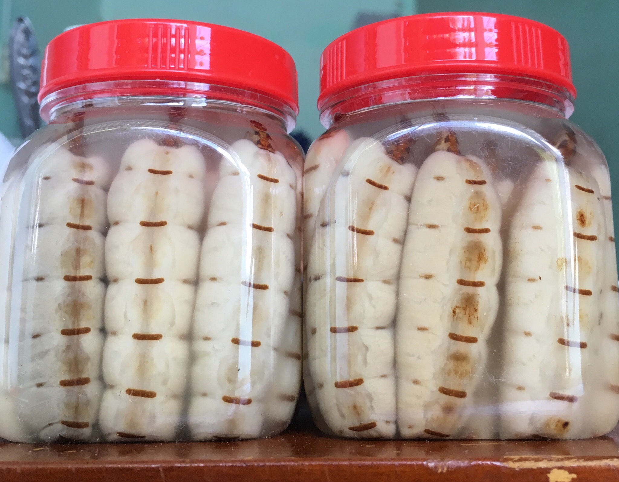 30 Con Mối chúa.ĐẠI thần d.ược sinh lý cho n.am giới ( giá lẻ 25k/con, combo 30 con chỉ 649k)