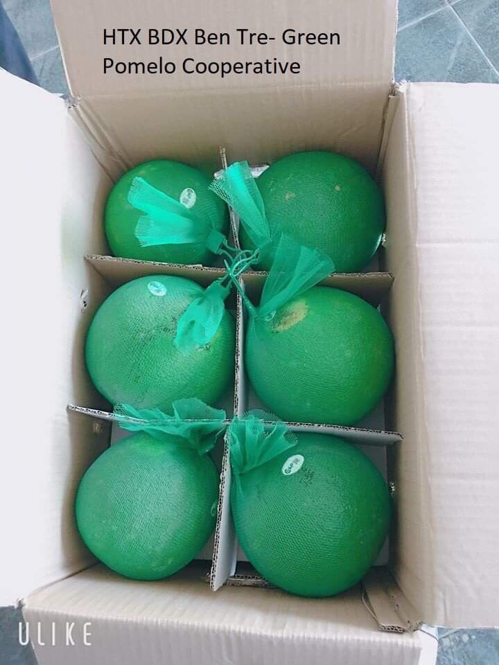 Bưởi da xanh ruột hồng - htx bdx bến tre