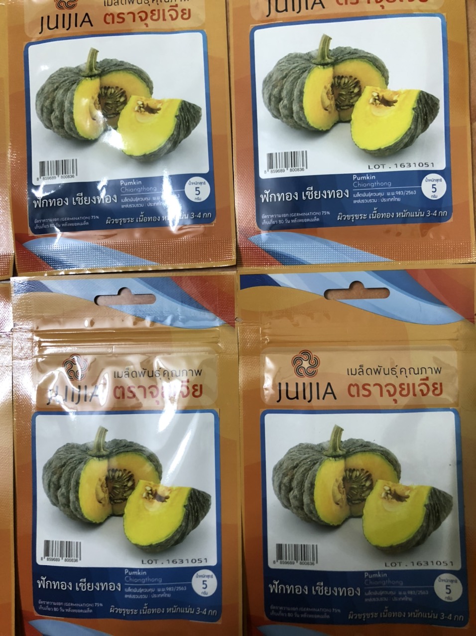 Hạt giống bí ngô sữa nhập khẩu thái lan
