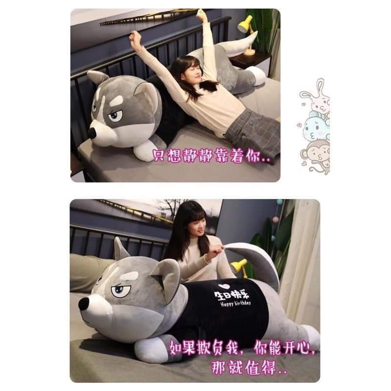 Gấu bông chó ngào husky, chó nhồi bông husky siêu hot