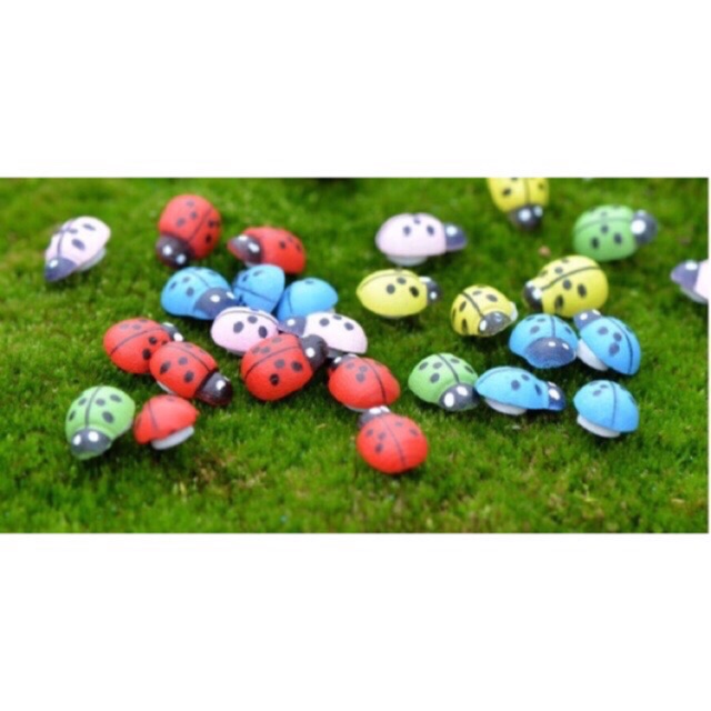 [HCM]Mô Hình Bọ Dừa Ladybug Trang Trí Tiểu Cảnh Miniature [1 cái ]