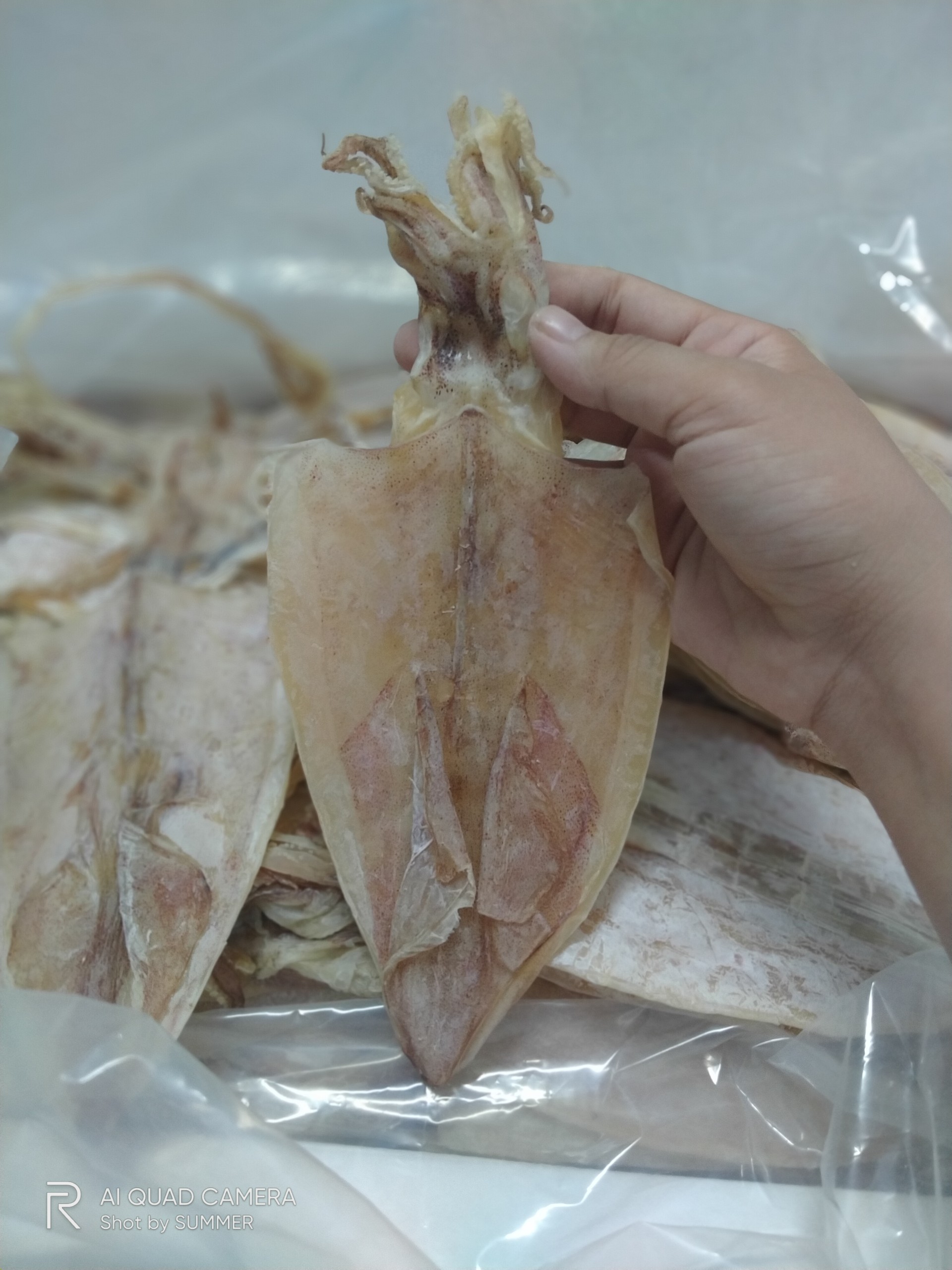 1kg KHÔ MỰC Vũng Tàu loại aaaa ngon và ngọt nhất