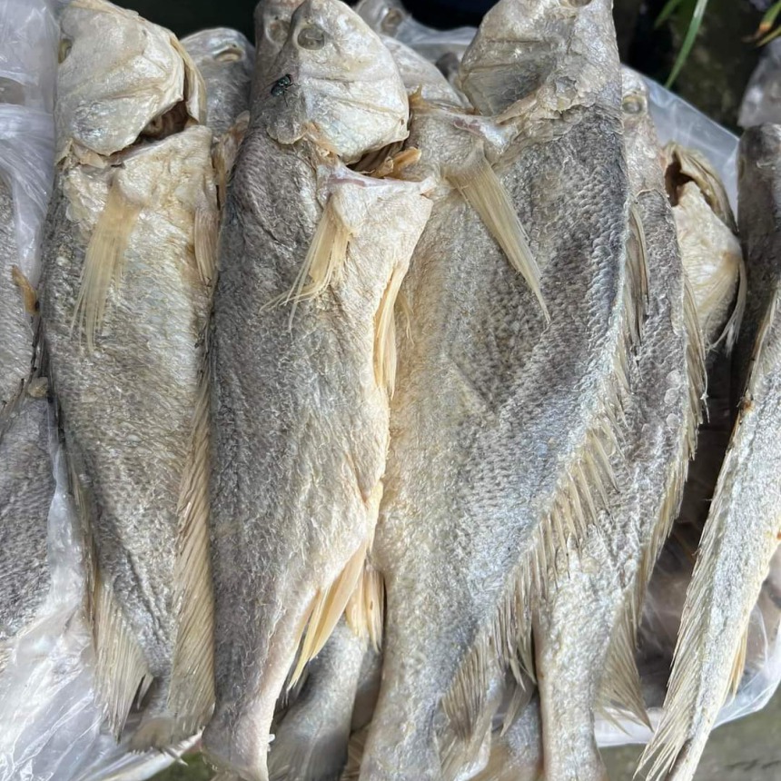 mắm cá ốp, cá sửu, cá mặn, thịt Cá sửu ít xương, không có xương vụn, thịt ngon, ngọt làm được nhiều món, khô ngon Thoại Sơn