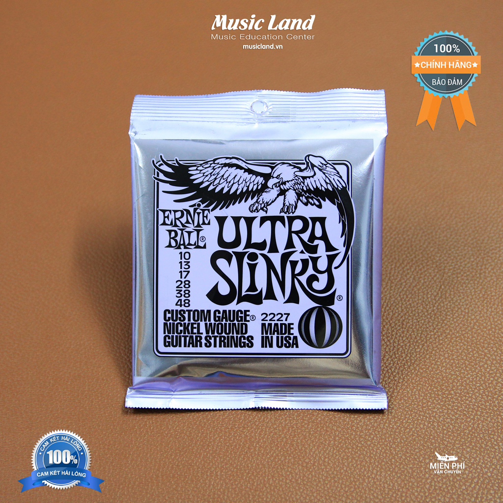 Dây đàn guitar điện ernie ball 2227 – chính hãng