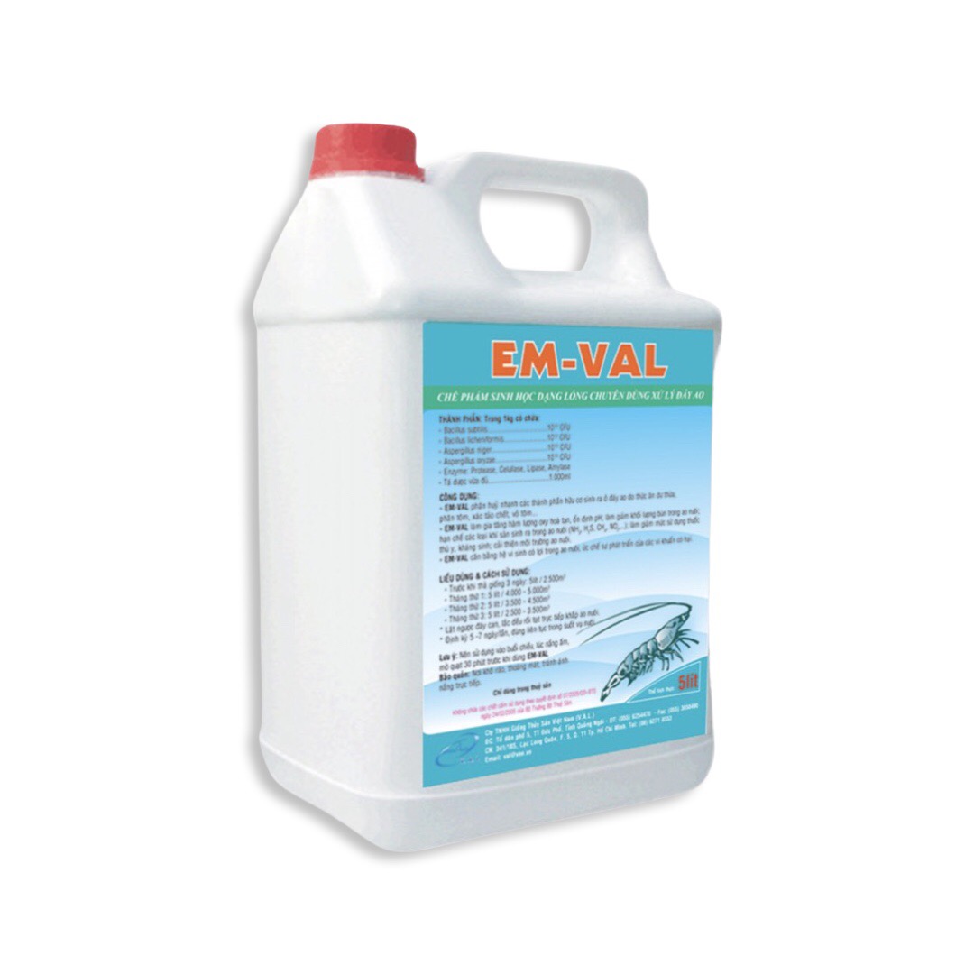 (CAN 5) EM GỐC- V.A.L. - Phân hủy mùn bã hữu cơ, thức ăn thừa trong ao nuôi và bể ương , nuôi. Cung cấp vi sinh vật có lợi cho ao nuôi và bể ương .