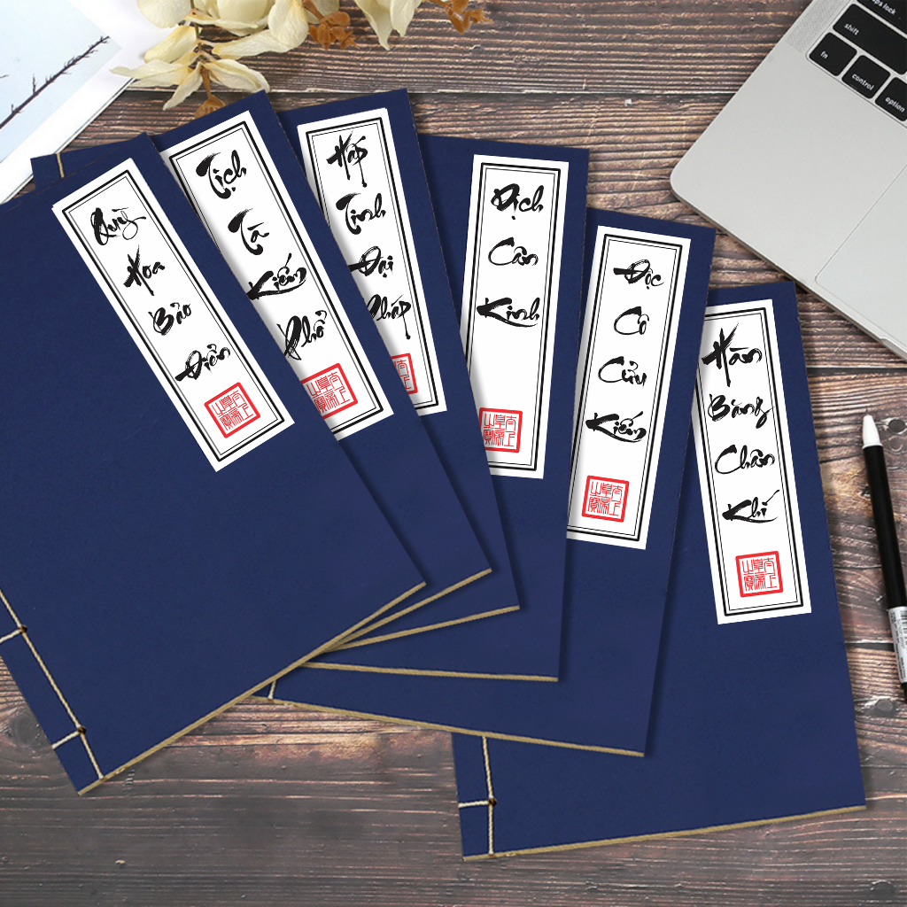 Combo 6 chưởng trong phim Tiếu Ngạo Giang Hồ sổ kiếm hiệp võ công cổ trang có phiên bản tiếng việt dày 100 trang giấy vàng nâu cổ xưa