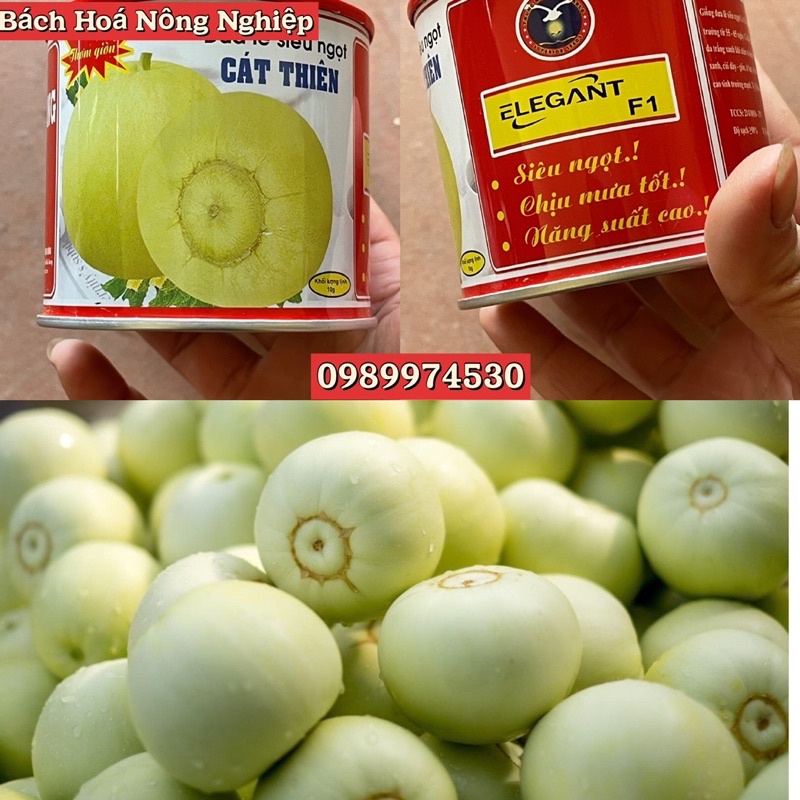 Hạt giống dưa lê siêu ngọt cát thiên chất lượng cao. lon sắt 10g