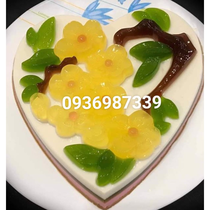 Khuôn rau câu trái tim  20 cm có hoa mai đẹp