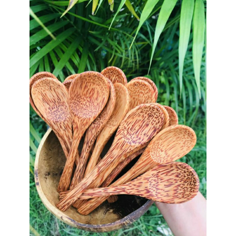 Muỗng gỗ dừa, muỗng ăn hạt, muống dừa, muôi ăn cơm