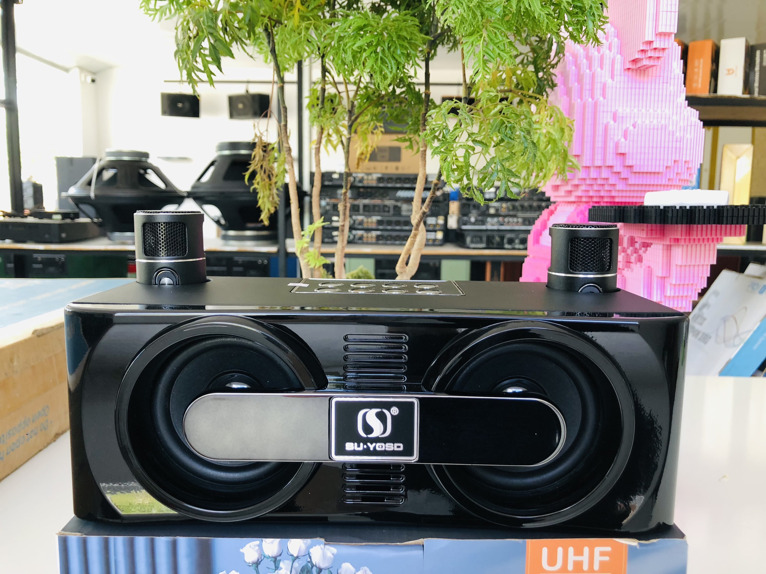 Loa karaoke mini YS-205