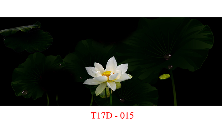Tranh 3d cho bể cá cảnh fuil kích thước