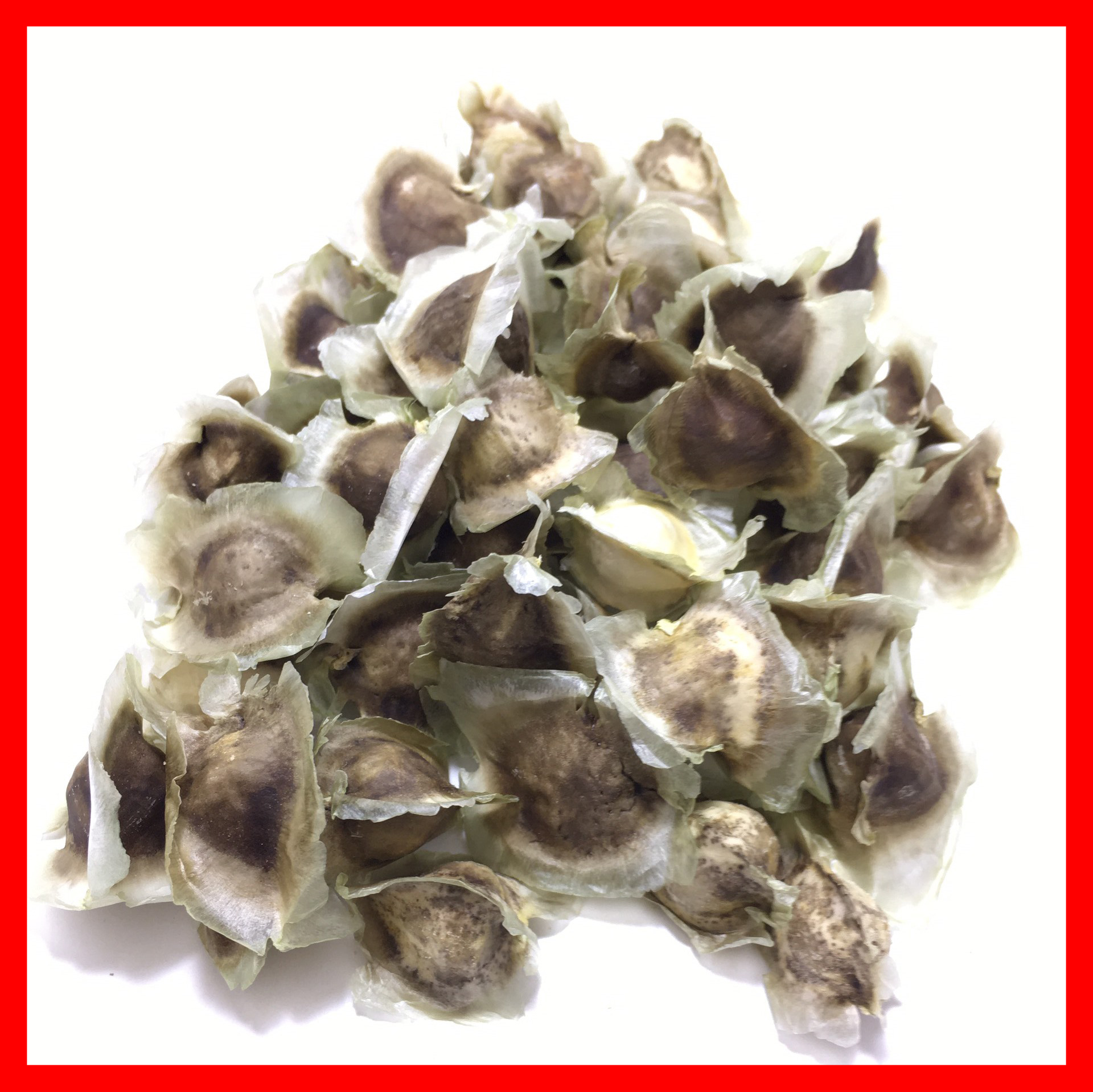 30 HẠT CHÙM NGÂY - HẠT GIỐNG CÂY CHÙM NGÂY TRỒNG TẠI VƯỜN NHÀ