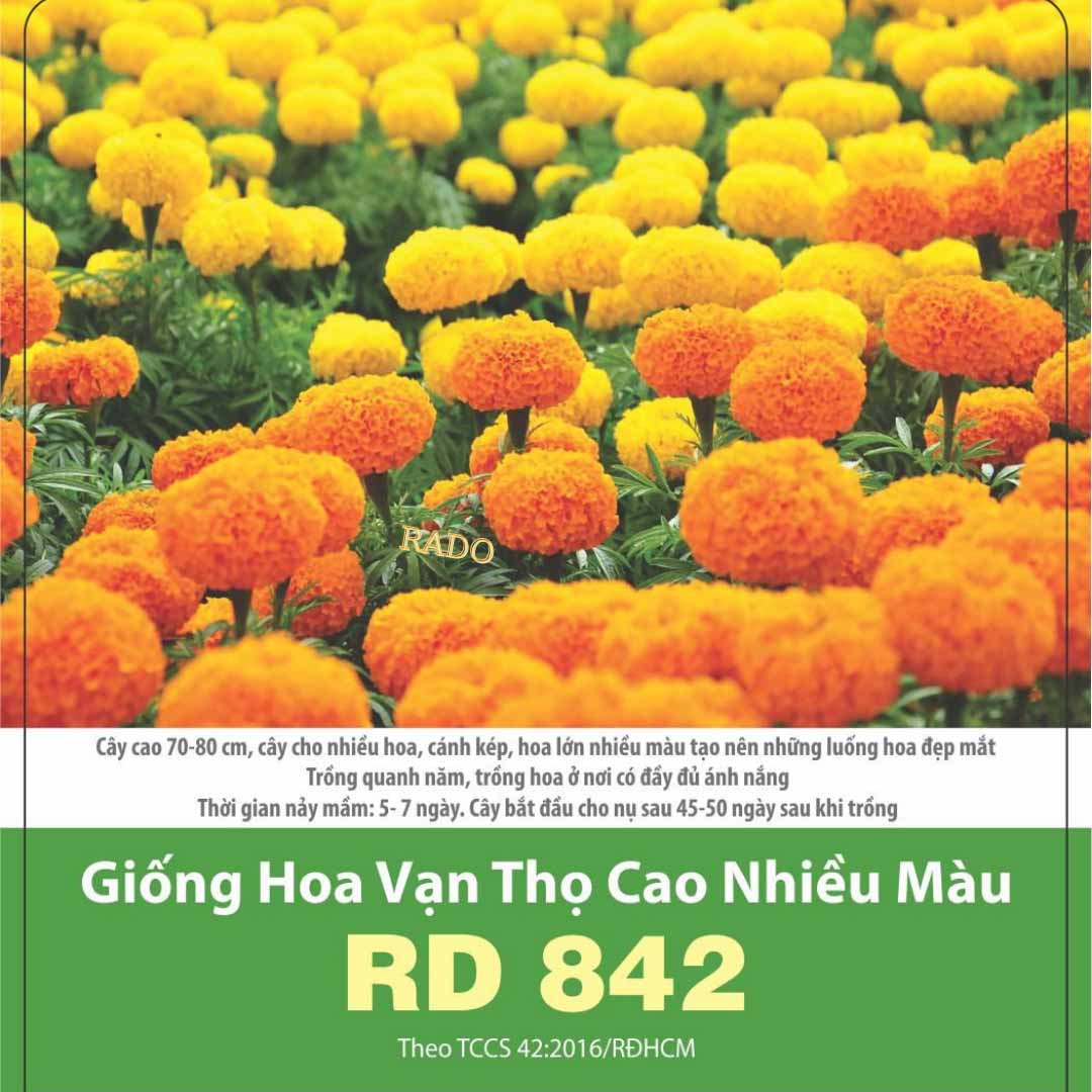 Hạt giống hoa cúc vạn thọ cao nhiều màu RD842, gói 0.1gr