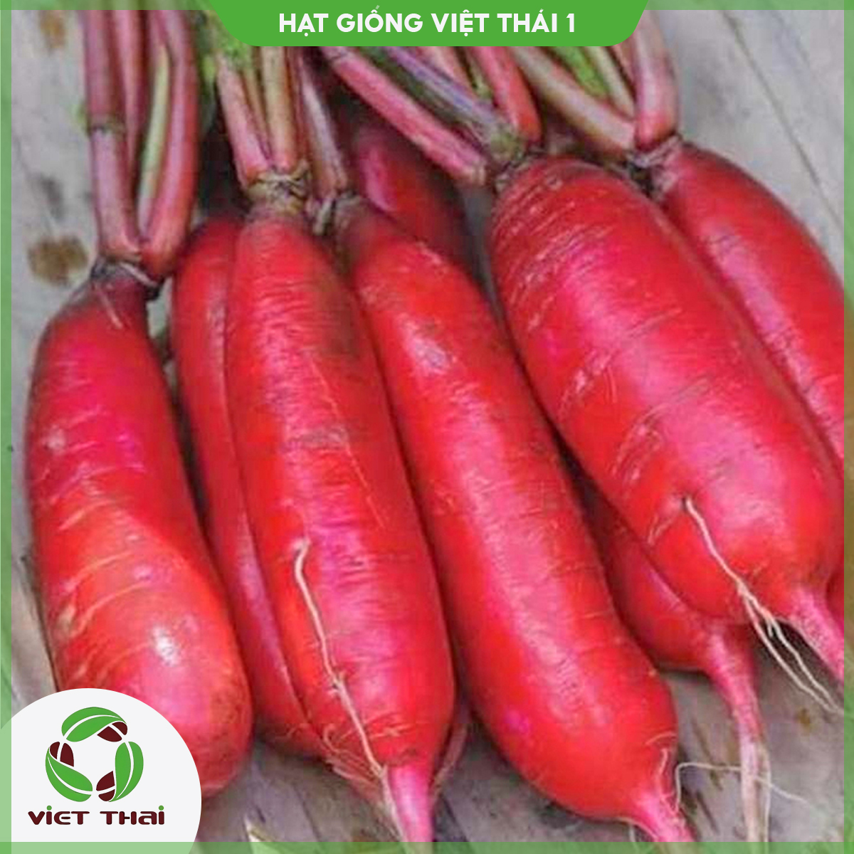 Hạt giống củ cải đỏ tn - hgvt1