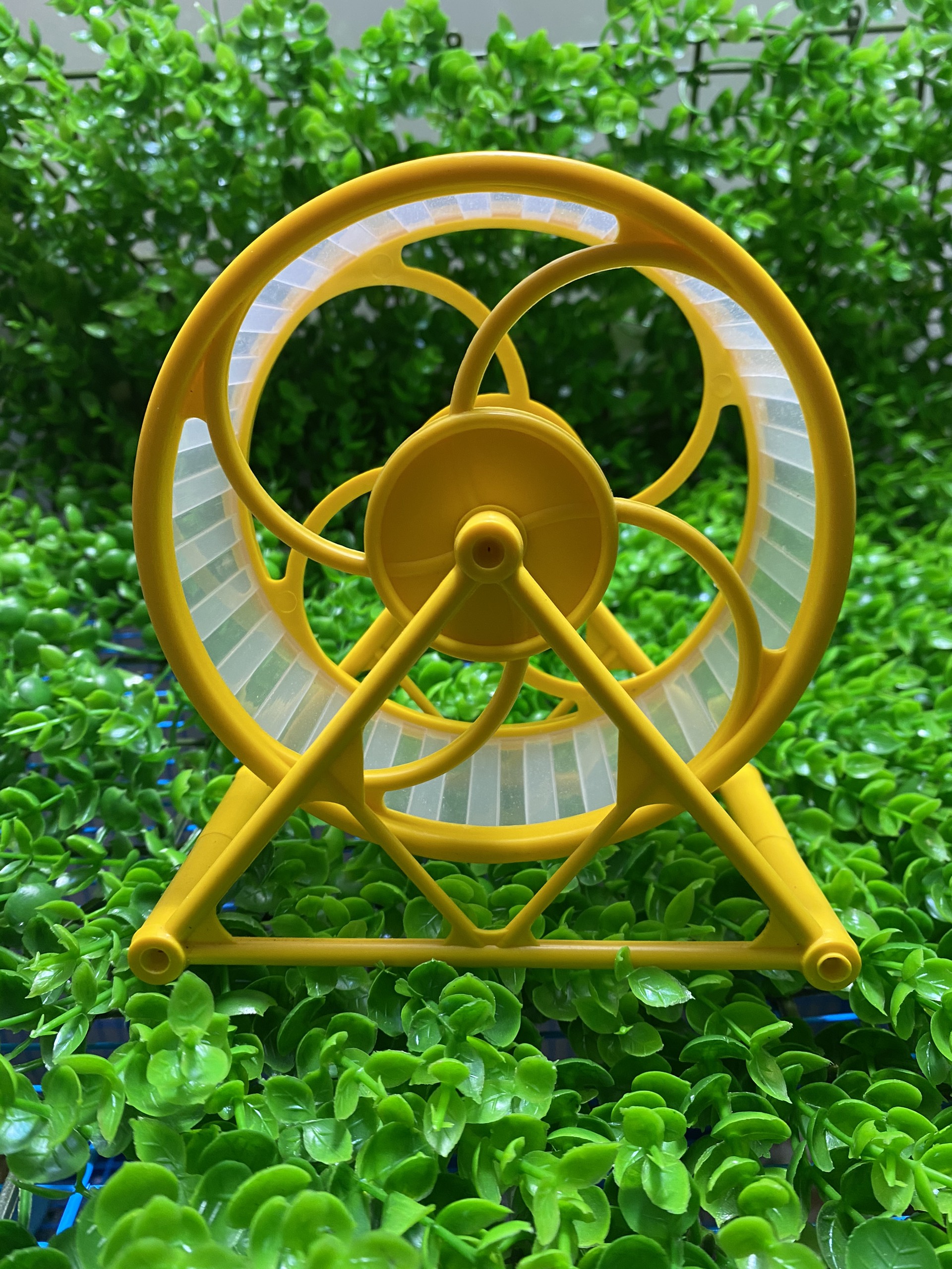 Wheel nhựa lớn, nhỏ cho hamster